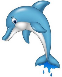 delfin_natacion